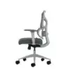 Oqonos Cherg 015 Silla de Oficina Ergonomica con Respaldo y Asiento de Malla Elastica, Reposabrazos 4D, Asiento Deslizable Ergon