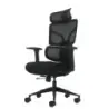 Oqonos Cherg 010 Silla de Oficina Ergonomica con Reposacabezas Cervical Ajustable, Respaldo y Asiento de Malla Elastica, Reposab