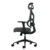 Oqonos Cherg 011 Silla de Oficina Ergonomica con Reposacabezas Cervical Ajustable, Respaldo y Asiento de Malla Elastica, Reposab