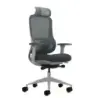 Oqonos Cherg 022 Silla de Oficina Ergonomica con Reposacabezas Cervical Ajustable, Mecanismo Autobalanceado, Reposabrazos 4D, As