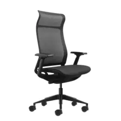 Oqonos Cherg 028 Silla de Oficina Ergonomica con Respaldo y Asiento de Malla Elastica, Mecanismo Autobalanceado, Reposabrazos 4D