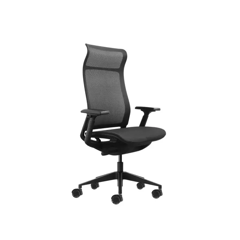 Oqonos Cherg 028 Silla de Oficina Ergonomica con Respaldo y Asiento de Malla Elastica, Mecanismo Autobalanceado, Reposabrazos 4D