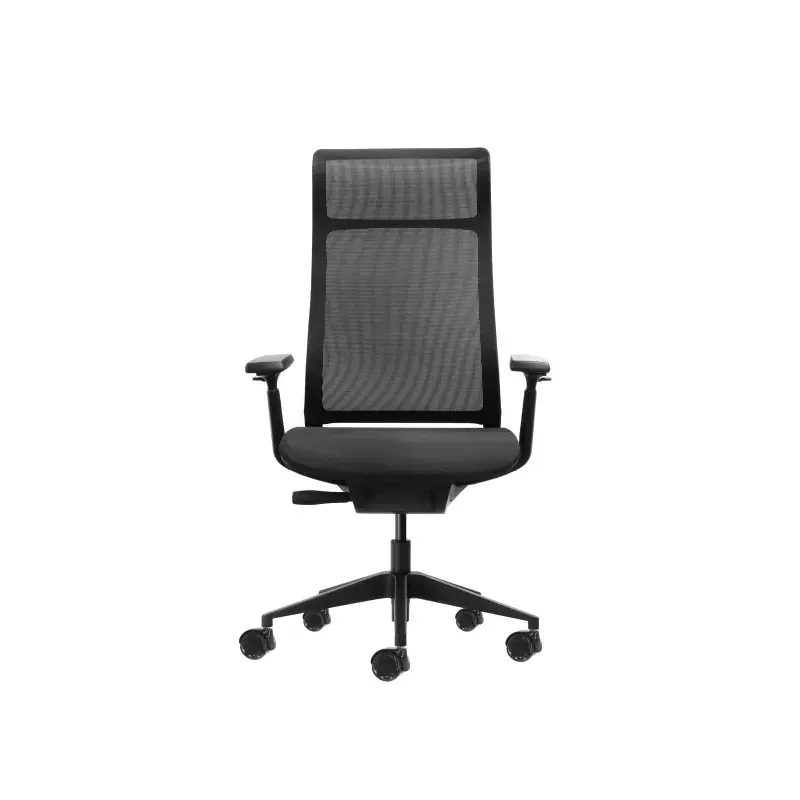 Oqonos Cherg 028 Silla de Oficina Ergonomica con Respaldo y Asiento de Malla Elastica, Mecanismo Autobalanceado, Reposabrazos 4D