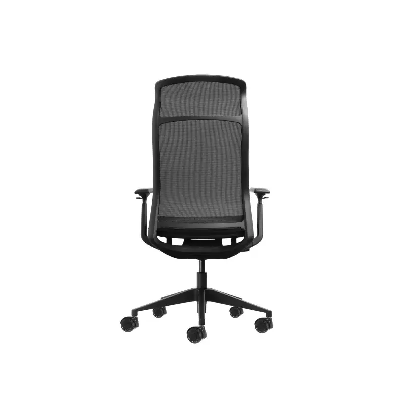 Oqonos Cherg 028 Silla de Oficina Ergonomica con Respaldo y Asiento de Malla Elastica, Mecanismo Autobalanceado, Reposabrazos 4D