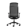 Oqonos Cherg 028 Silla de Oficina Ergonomica con Respaldo y Asiento de Malla Elastica, Mecanismo Autobalanceado, Reposabrazos 4D