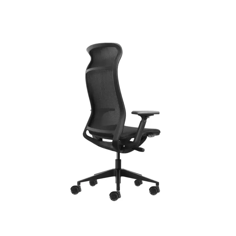 Oqonos Cherg 028 Silla de Oficina Ergonomica con Respaldo y Asiento de Malla Elastica, Mecanismo Autobalanceado, Reposabrazos 4D