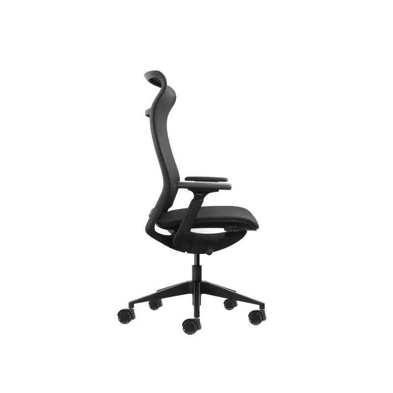 Oqonos Cherg 028 Silla de Oficina Ergonomica con Respaldo y Asiento de Malla Elastica, Mecanismo Autobalanceado, Reposabrazos 4D