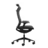 Oqonos Cherg 028 Silla de Oficina Ergonomica con Respaldo y Asiento de Malla Elastica, Mecanismo Autobalanceado, Reposabrazos 4D
