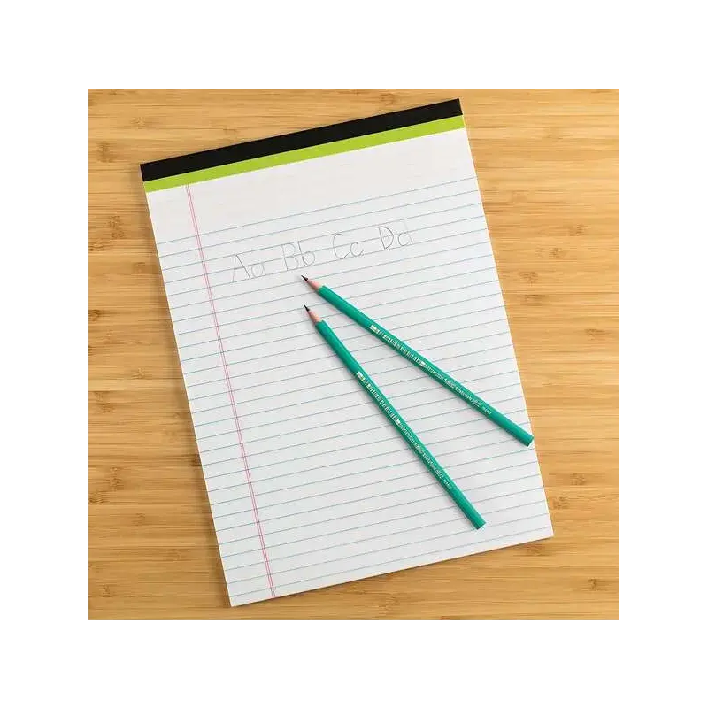 Bic Evolution Original Lapiz de Grafito Hexagonal - Mina HB Ultrarresistente - Sin Madera - No se Astilla | Ahorro Imprimiendo