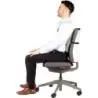 Fellowes Smart Suites Respaldo de Espuma Ergonomico - Espuma de Alta Densidad - Correa Ajustable - Color Gris | Ahorro Imprimien