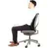 Fellowes Mesh Professional Series Suites Cojin Lumbar - Material de Malla - Sistema Triple Tensor - Color Grafito | Ahorro Impri