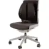 Fellowes Back Angel Respaldo Ergonomico Moldeable - Ajustable en 7 Alturas - Adaptable a la Mayoria de Sillas - Color Negro | Ah