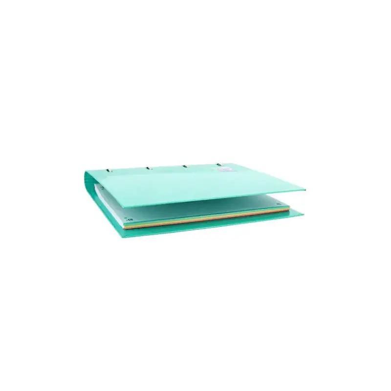 Oxford Europeanbinder Classic A4+ Carpeta de Anillas con Recambio Cuadricula 5x5 - Tapa Extradura - Cierre con Goma Elastica - C
