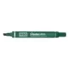 Pentel Pen N60 Rotulador Permanente - Punta Biselada Resistente y Duradera - Resistente a Agua y Luz - Color Verde | Ahorro Impr