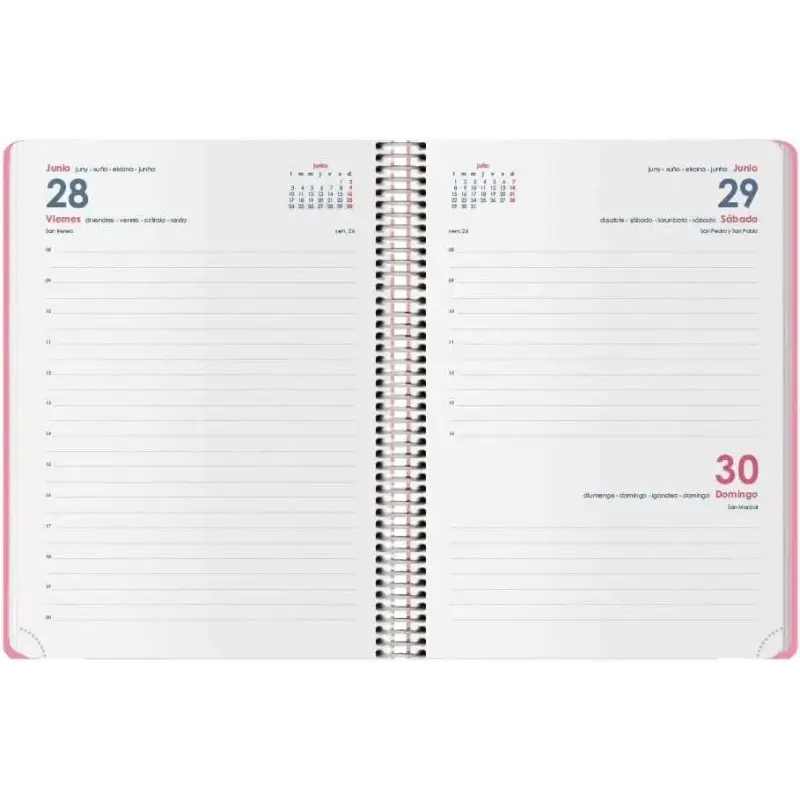 Dohe Menphis Agenda Anual - Dia Pagina - Cubierta de Plastico - Sabado y Domingo misma Pagina - Cierre con Goma Elastica - Tamañ