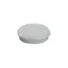 Dahle 95524 Pack de 10 Imanes para Pizarra Blanca - Diametro de 24mm - Color Gris | Ahorro Imprimiendo