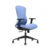 Cromad Senior SE1700 Silla de Oficina - Altura Ajustable con Elevador de Gas de Grado 4 - Soporte Lumbar Ajustable - Asiento con