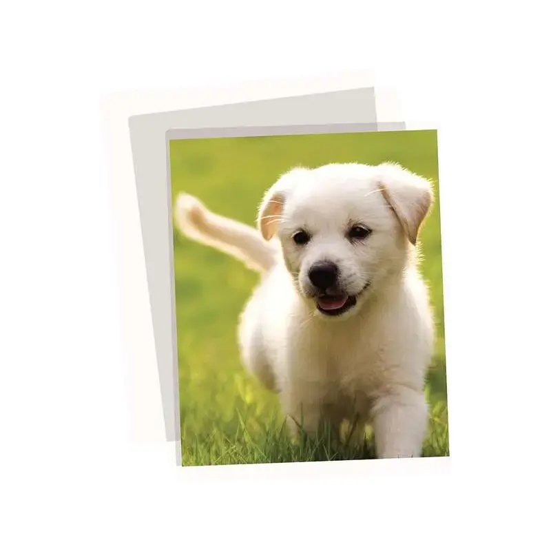 Fellowes Apex Pack de 100 Fundas para Plastificar A3 - 125 Micras - Acabado Alta Calidad - Transparente | Ahorro Imprimiendo