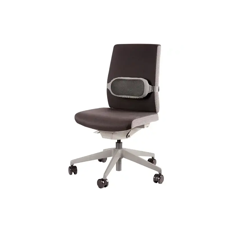 Fellowes I-Spire Series Cojin Lumbar - Correa Ajustable - Fabricado en Suave Espuma - Color Negro/Gris | Ahorro Imprimiendo