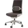 Fellowes I-Spire Series Cojin Lumbar - Correa Ajustable - Fabricado en Suave Espuma - Color Negro/Gris | Ahorro Imprimiendo