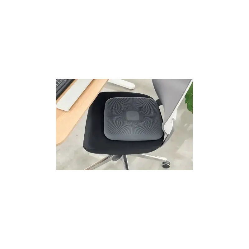 Leitz Ergo Active Wobble Cojin de Asiento Hinchable - Con Certificacion IGR - Mejora la Circulacion y Alivia la Presion en la Co