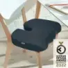 Leitz Ergo Cosy Cojin de Asiento Ortopedico - Promueve una Postura Saludable - Mejora la Circulacion - Para Oficina, Coche o Cas