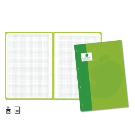 Golden Extra Recambio de 80 Hojas 90gr Cuadricula 4x4 - Formato A4 - 4 Taladros y Banda de Color Verde | Ahorro Imprimiendo