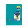 Oxford Europeanbook 8 Live & Go Pack de Cuaderno Espiral A4+ 160 Hojas Cuadricula 5x5 + 4 Marcadores Texmarker 490 Pelikan - 8 B