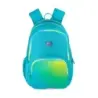 Oxford Gradient Mochila Escolar 25L - 3 Compartimentos y 11 Bolsillos - Espalda Ergonomica Transpirable - Asas Acolchadas y Ajus