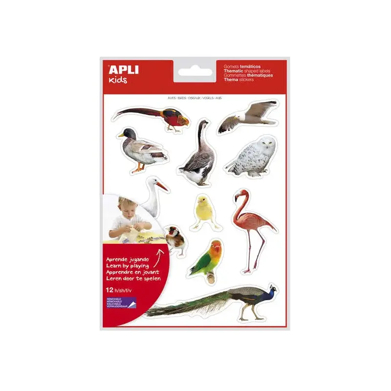 Apli Gomets Tematicos Realistas de Aves - 144 Gomets en 12 Hojas - Imagenes Realistas para Relacionar Aves - Desarrolla Habilida