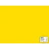 Apli Cartulina Amarilla 50 x 65cm 170g 25 Hojas | Ahorro Imprimiendo