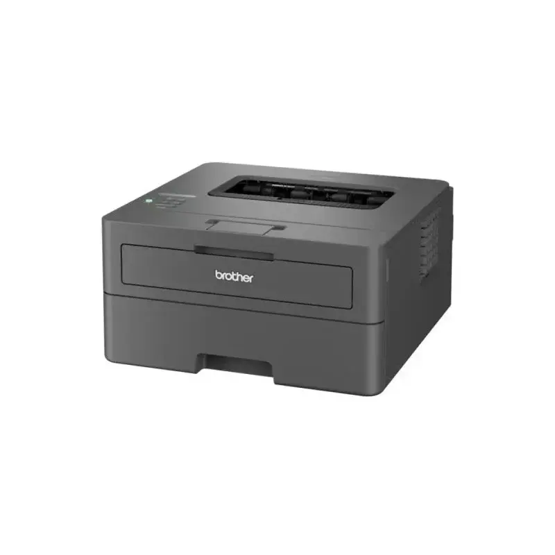 Brother HL-L2400DWE EcoPro Impresora Laser Monocromo Duplex WiFi 30ppm