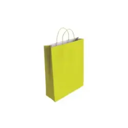 Bismark Bolsa de Papel Celulosa - Medidas 32x10x24cm - Color Pistacho