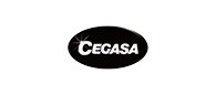 Cegasa